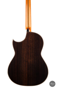 Armin Hanika - Fusion PC mit Pickup