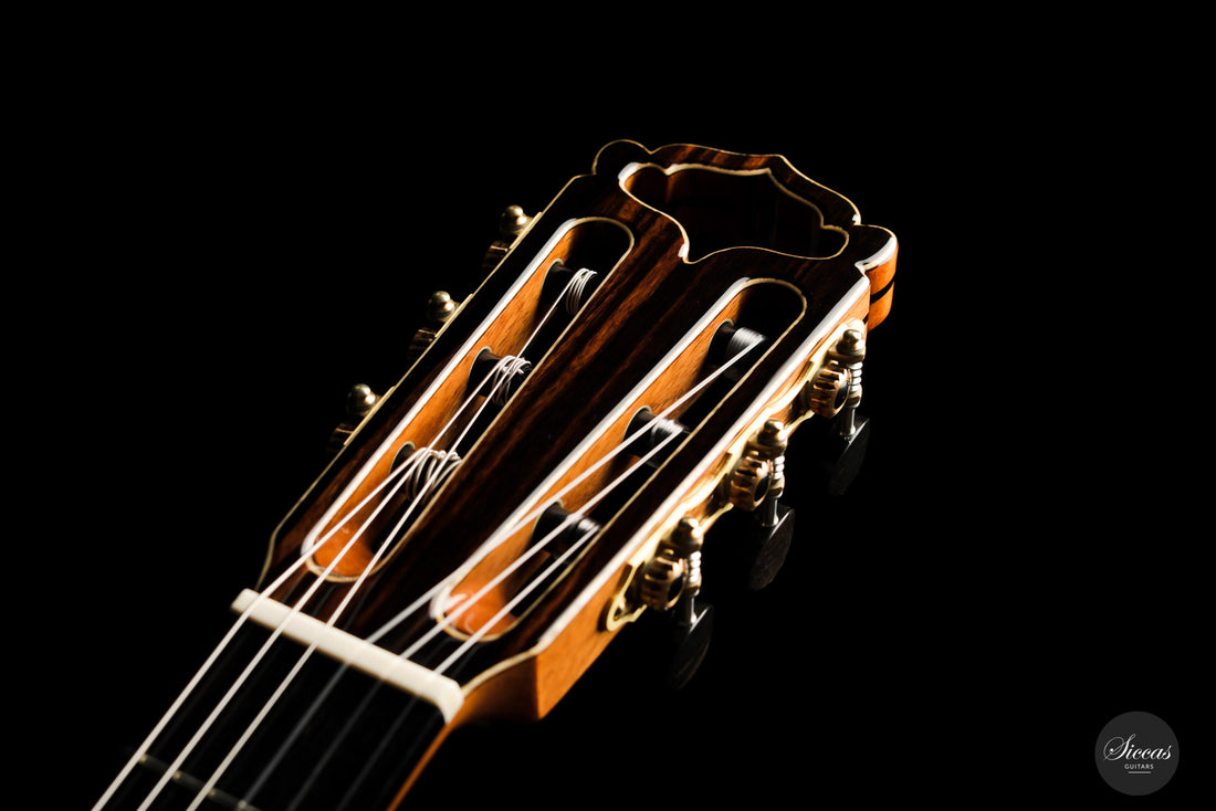 Armin Hanika - Fusion PC mit Pickup