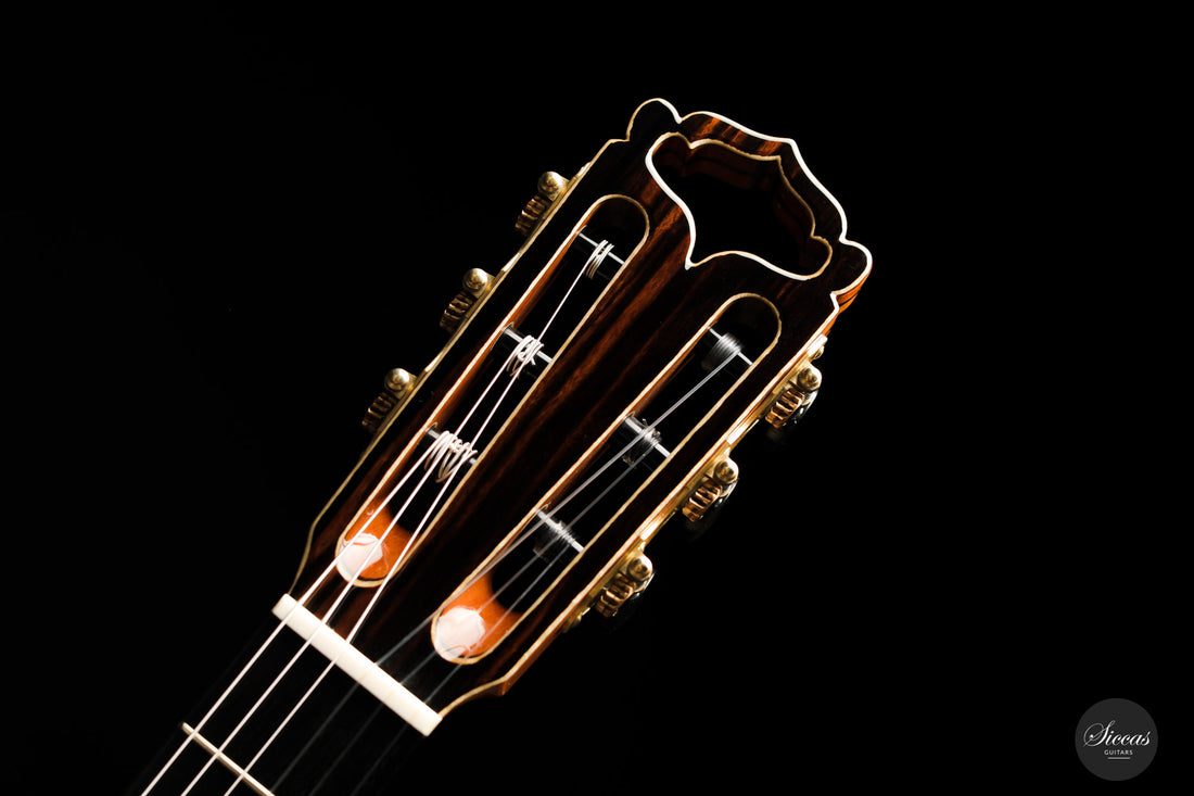 Armin Hanika - Fusion PC mit Pickup