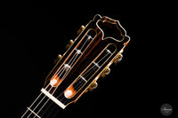 Armin Hanika - Fusion PC mit Pickup