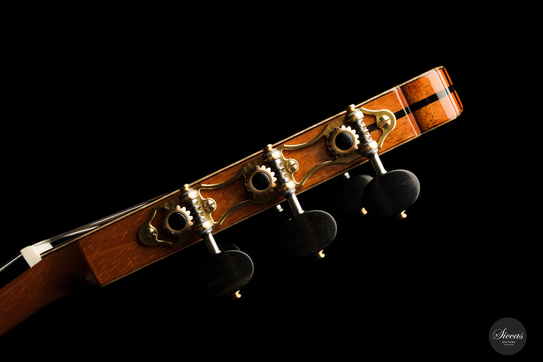 Armin Hanika - Fusion PC mit Pickup
