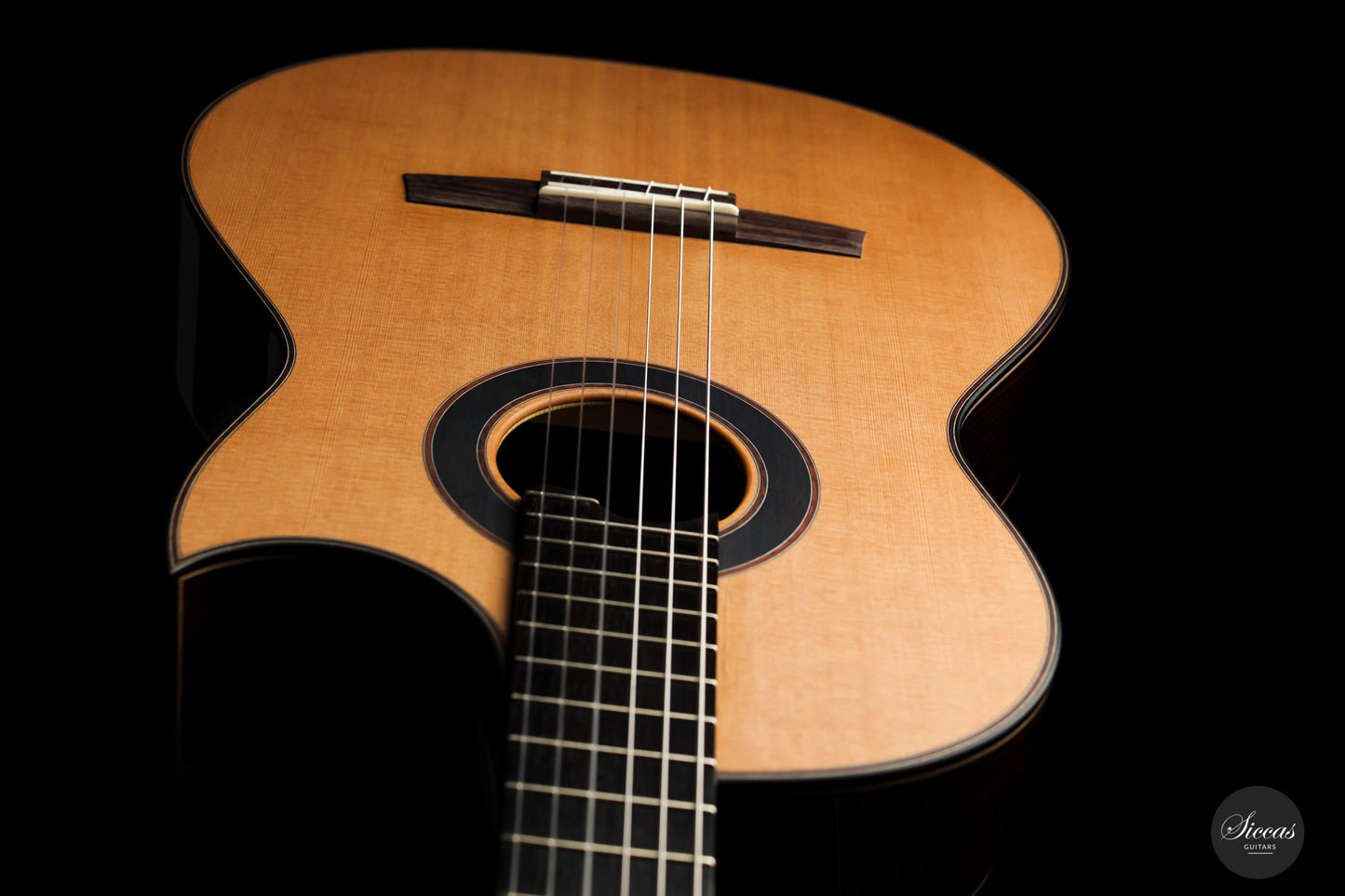 Armin Hanika - Fusion PC mit Pickup