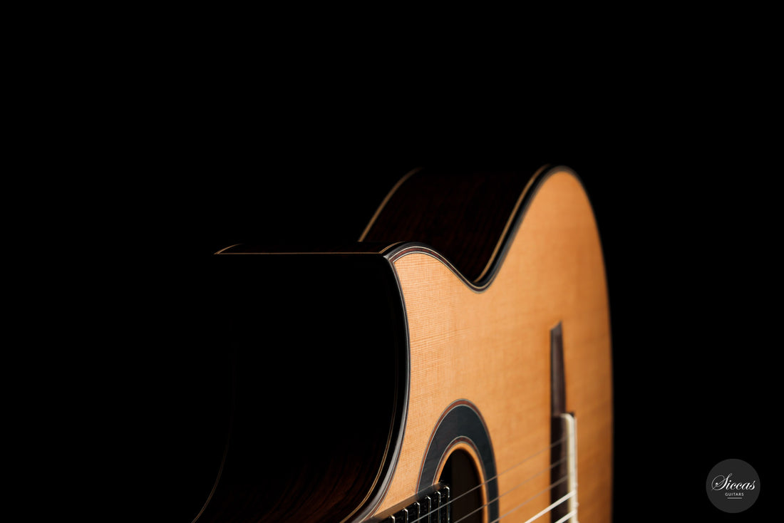 Armin Hanika - Fusion PC mit Pickup
