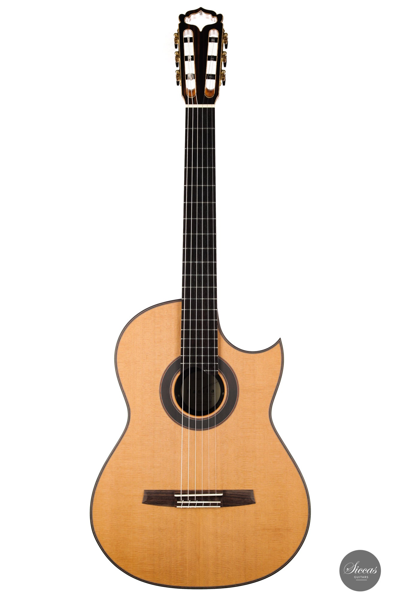 Armin Hanika - Fusion PC - Classical Guitar – Siccas Guitars