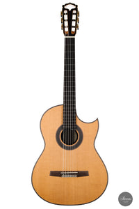 Armin Hanika - Fusion PC mit Pickup