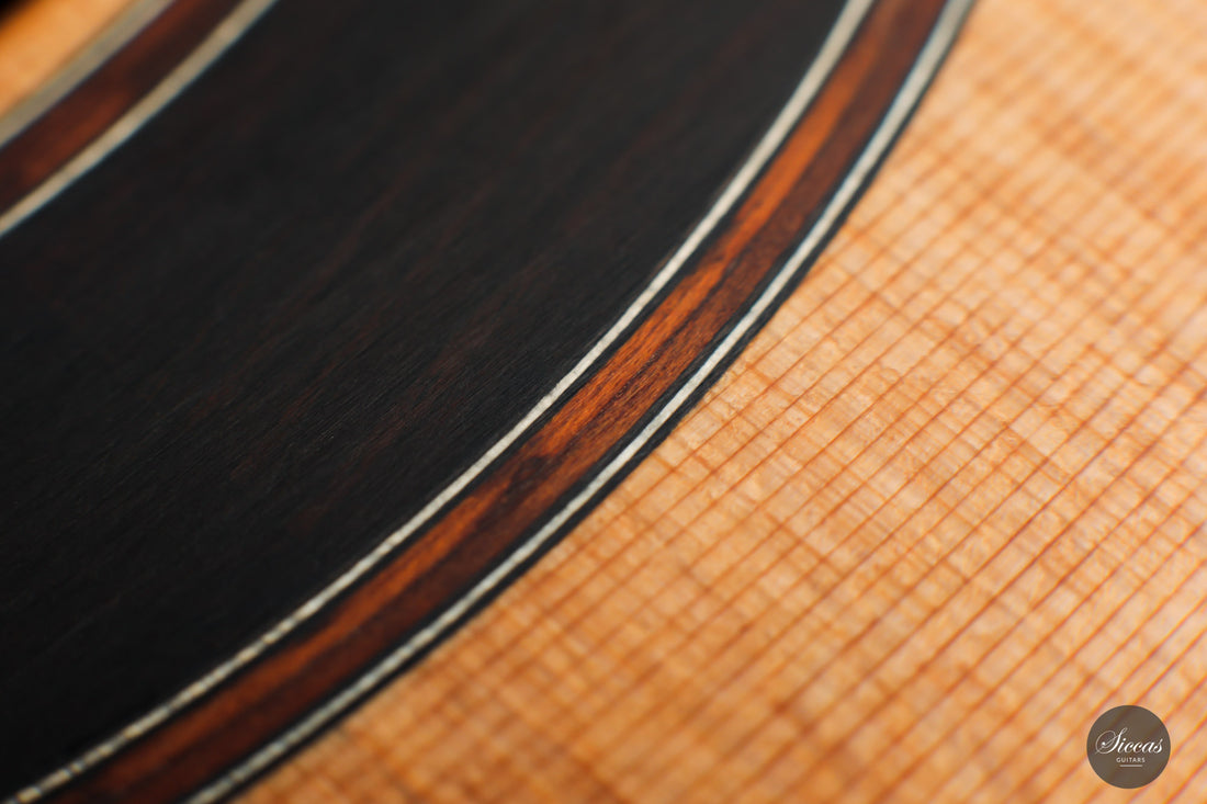 Armin Hanika - Fusion PC mit Pickup