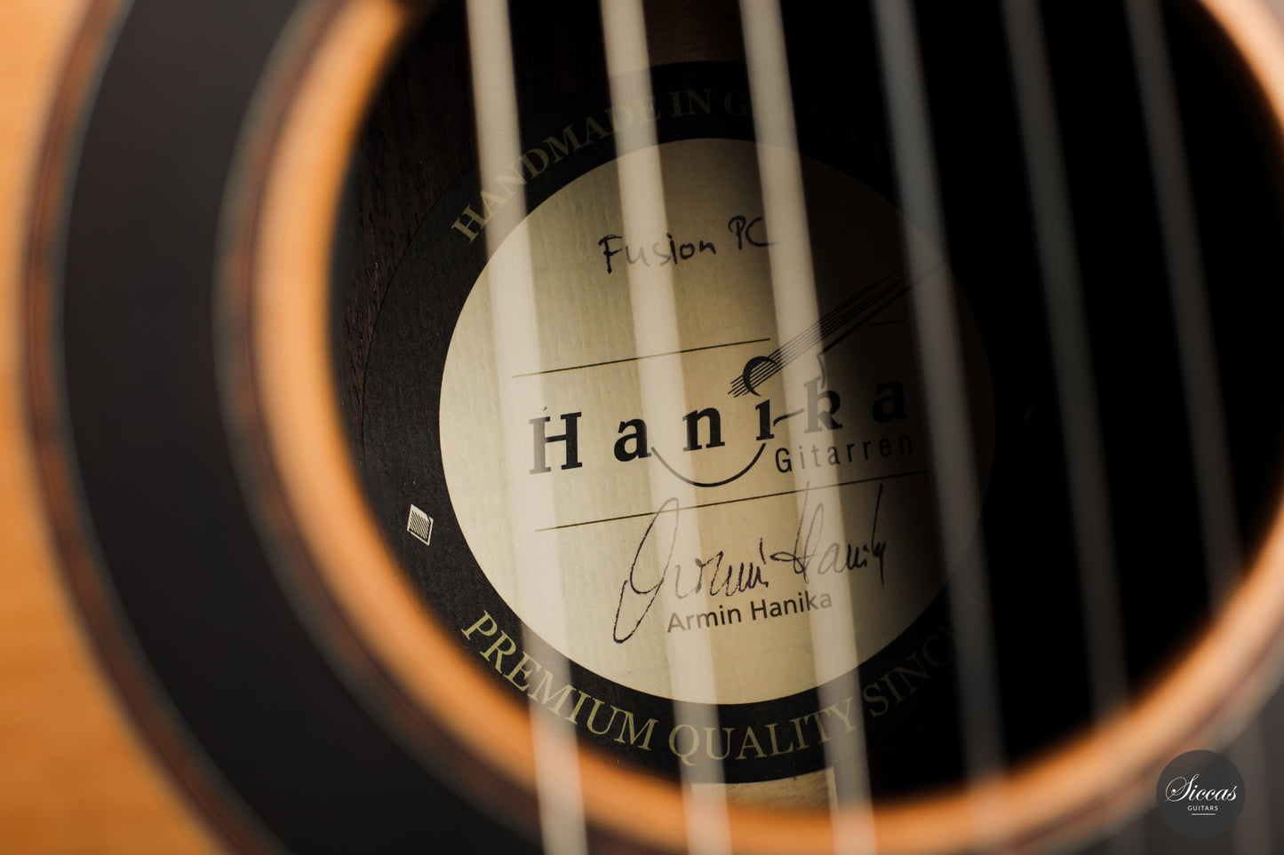 Armin Hanika - Fusion PC mit Pickup