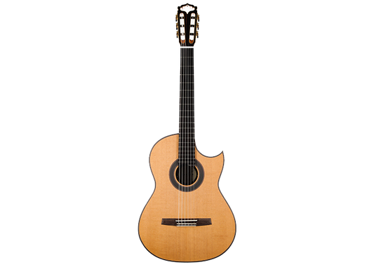 Armin Hanika - Fusion PC mit Pickup