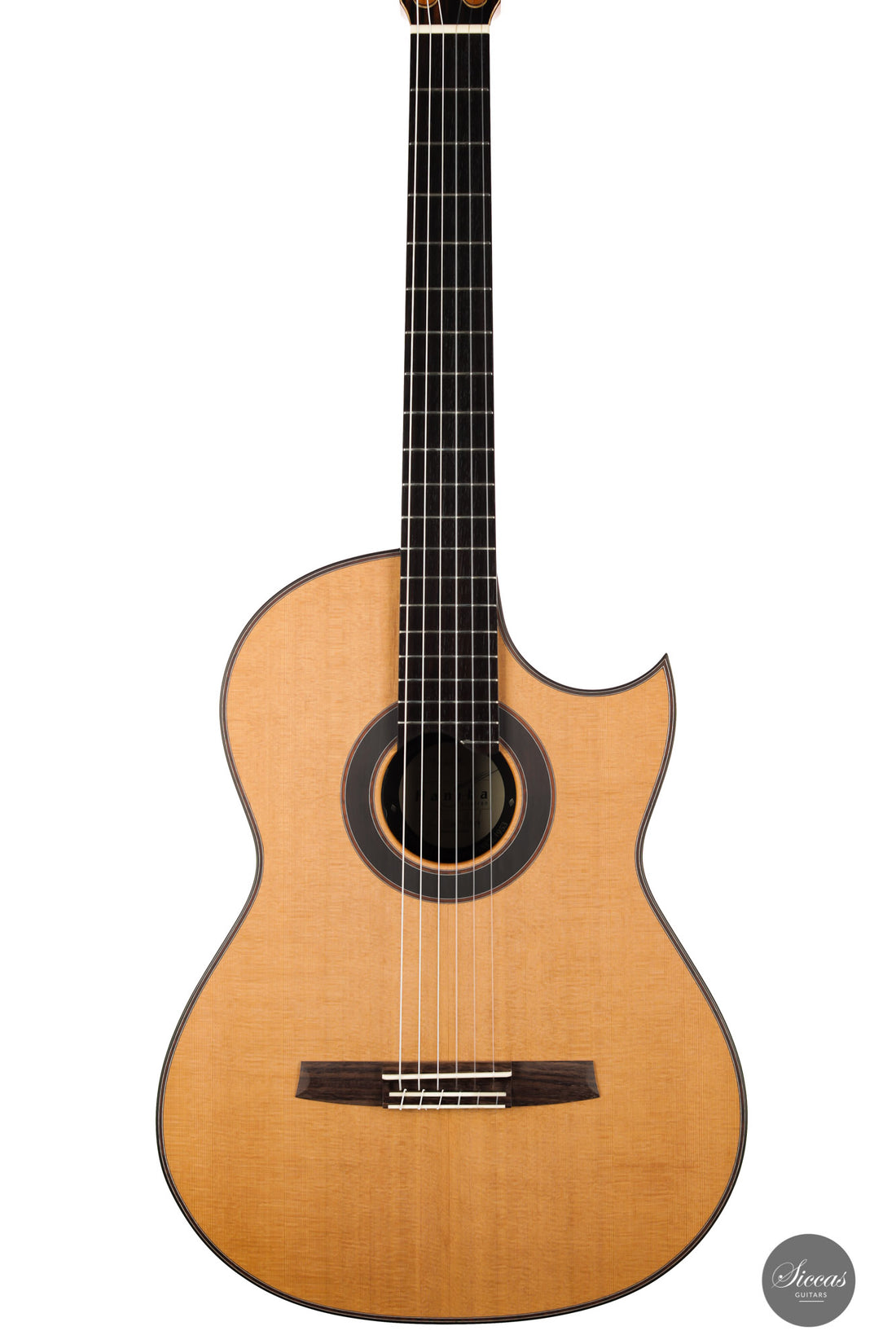 Armin Hanika - Fusion PC mit Pickup