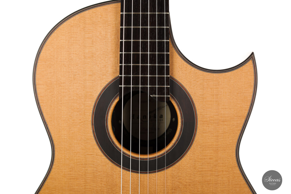 Armin Hanika - Fusion PC mit Pickup
