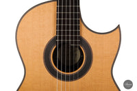 Armin Hanika - Fusion PC mit Pickup