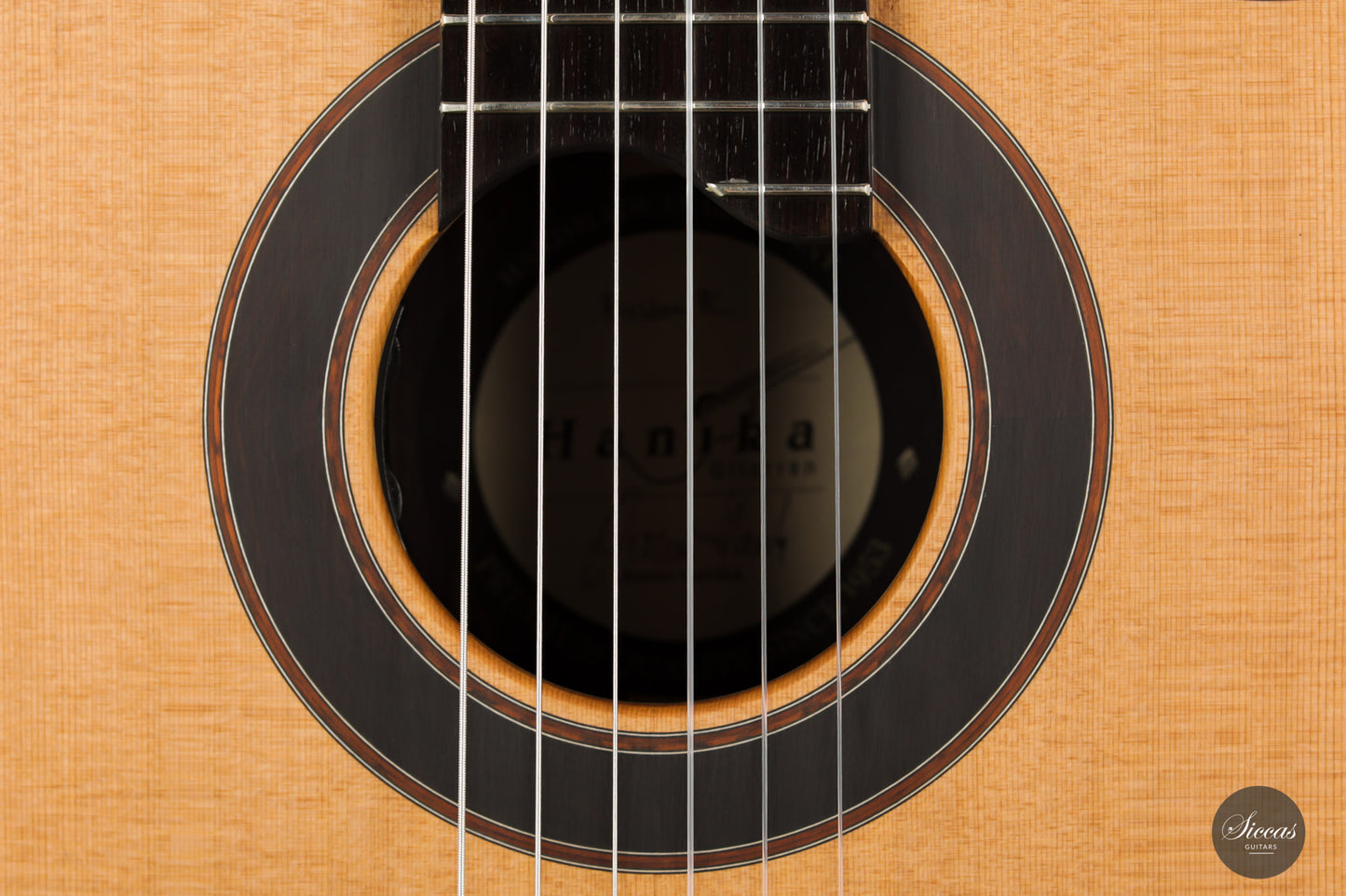 Armin Hanika - Fusion PC mit Pickup