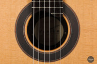 Armin Hanika - Fusion PC mit Pickup
