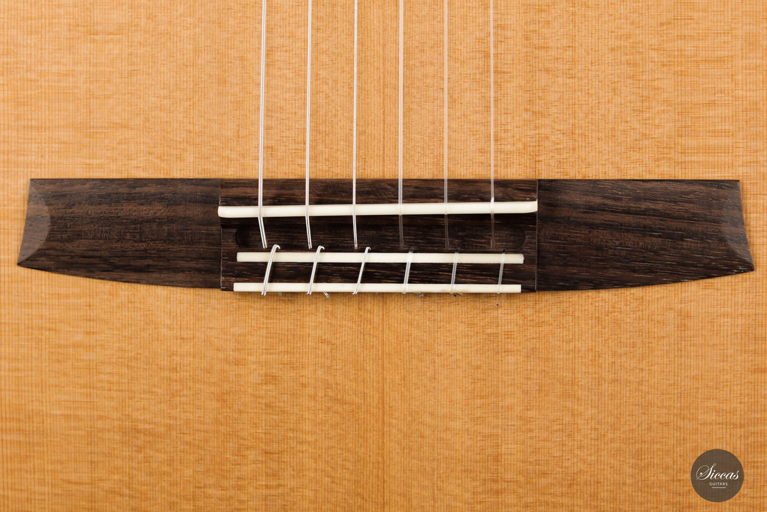 Armin Hanika - Fusion PC mit Pickup