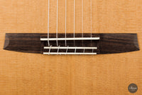 Armin Hanika - Fusion PC mit Pickup
