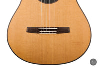 Armin Hanika - Fusion PC mit Pickup