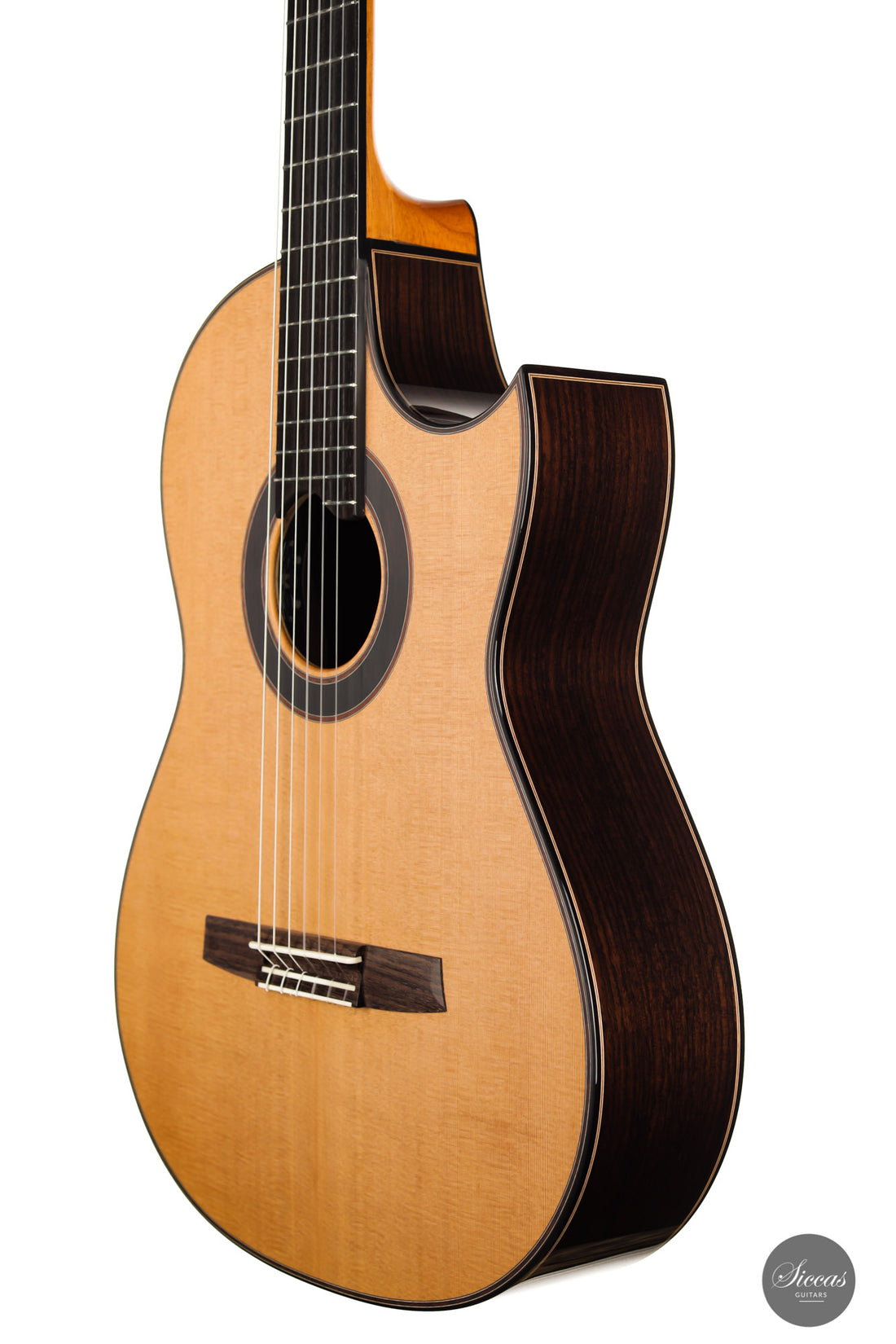 Armin Hanika - Fusion PC mit Pickup