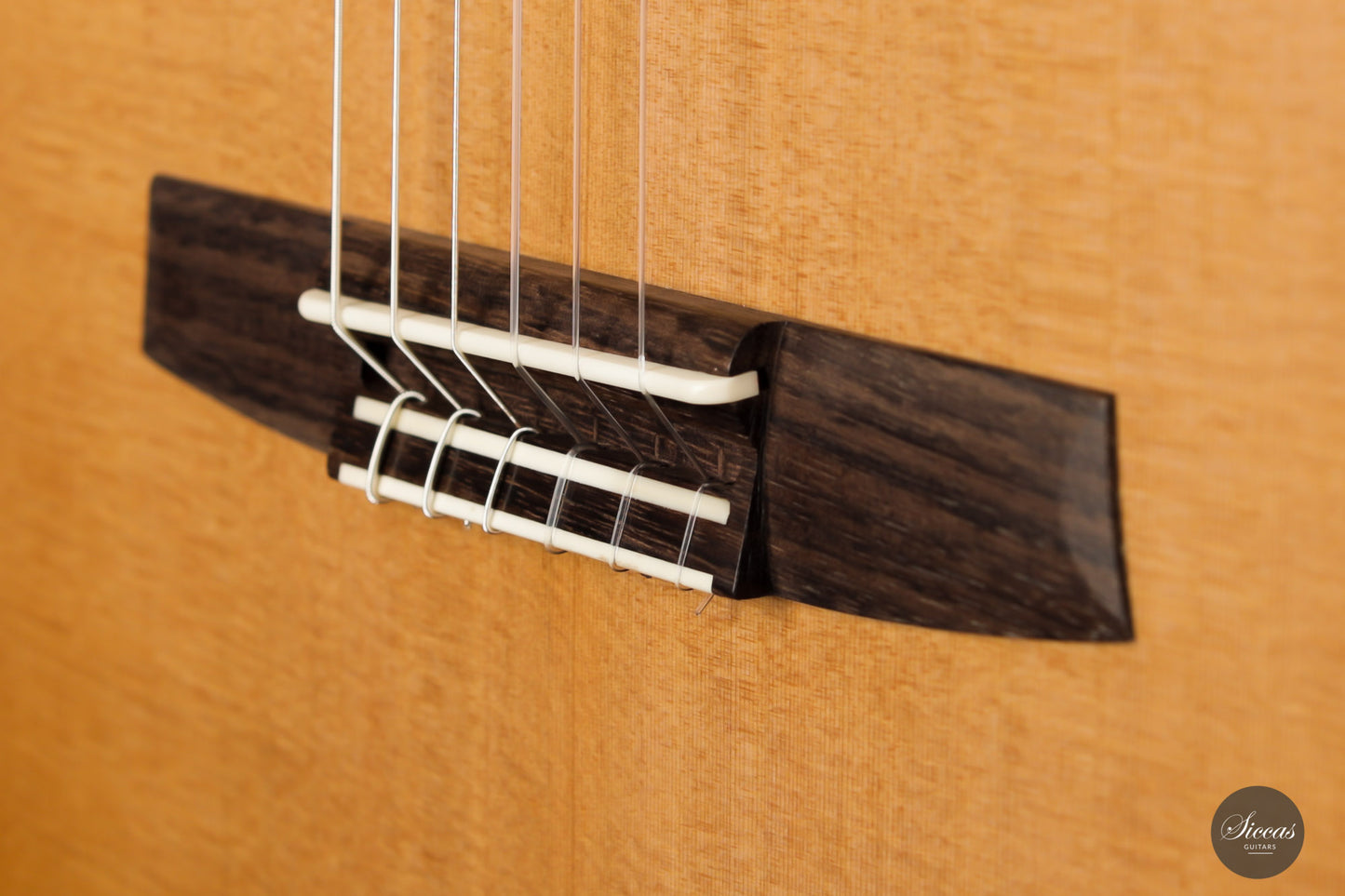 Armin Hanika - Fusion PC mit Pickup
