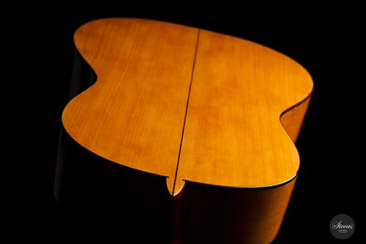 Carl-Hermann Schäfer – 2018 Flamenca "Santos" img-2