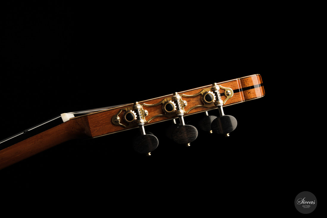 Armin Hanika - New Century Doubletop