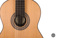 Armin Hanika - New Century Doubletop - New Model