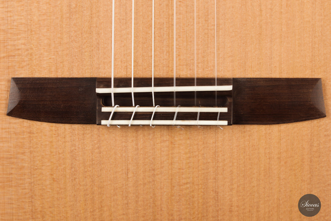 Armin Hanika - New Century Doubletop - New Model