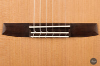 Armin Hanika - New Century Doubletop