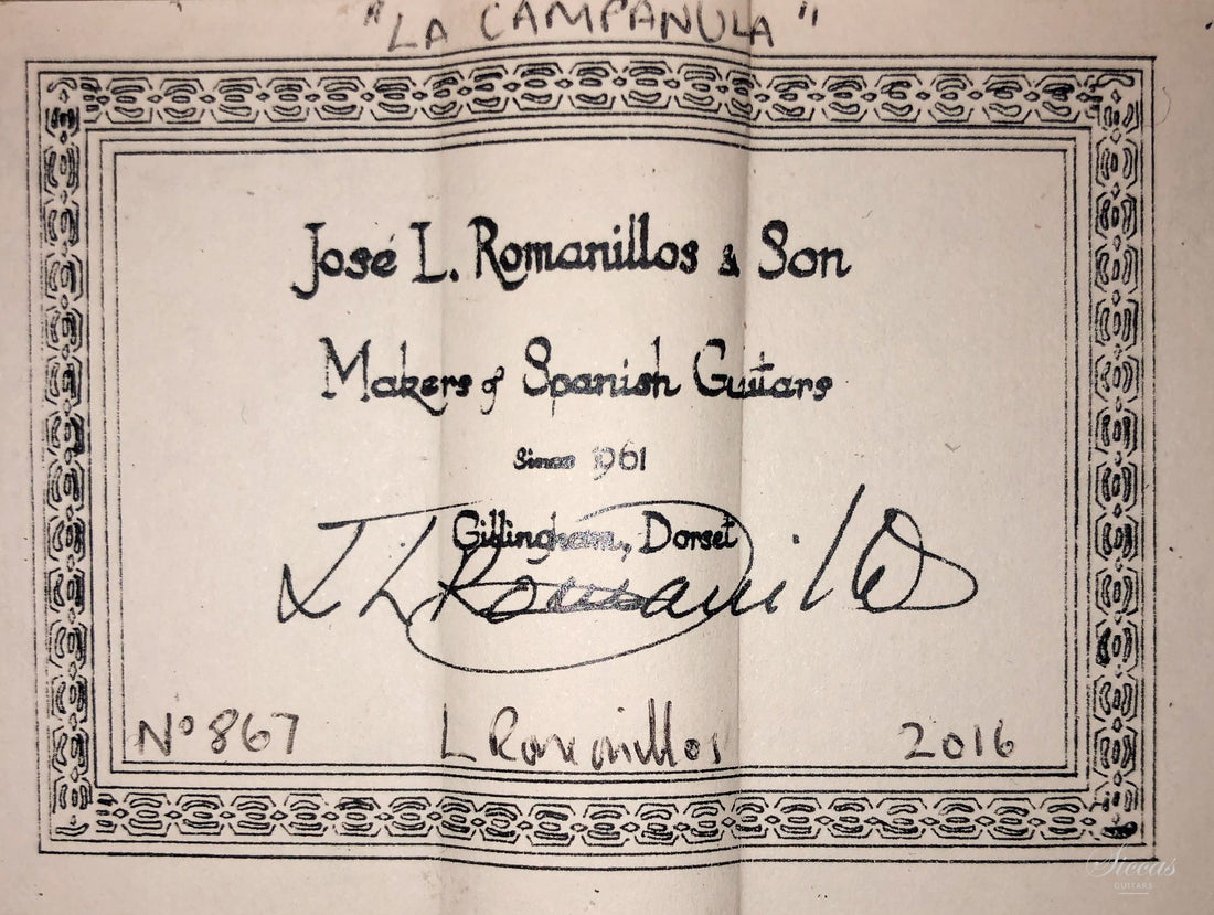 José Luis Romanillos - 2016 La Campanula