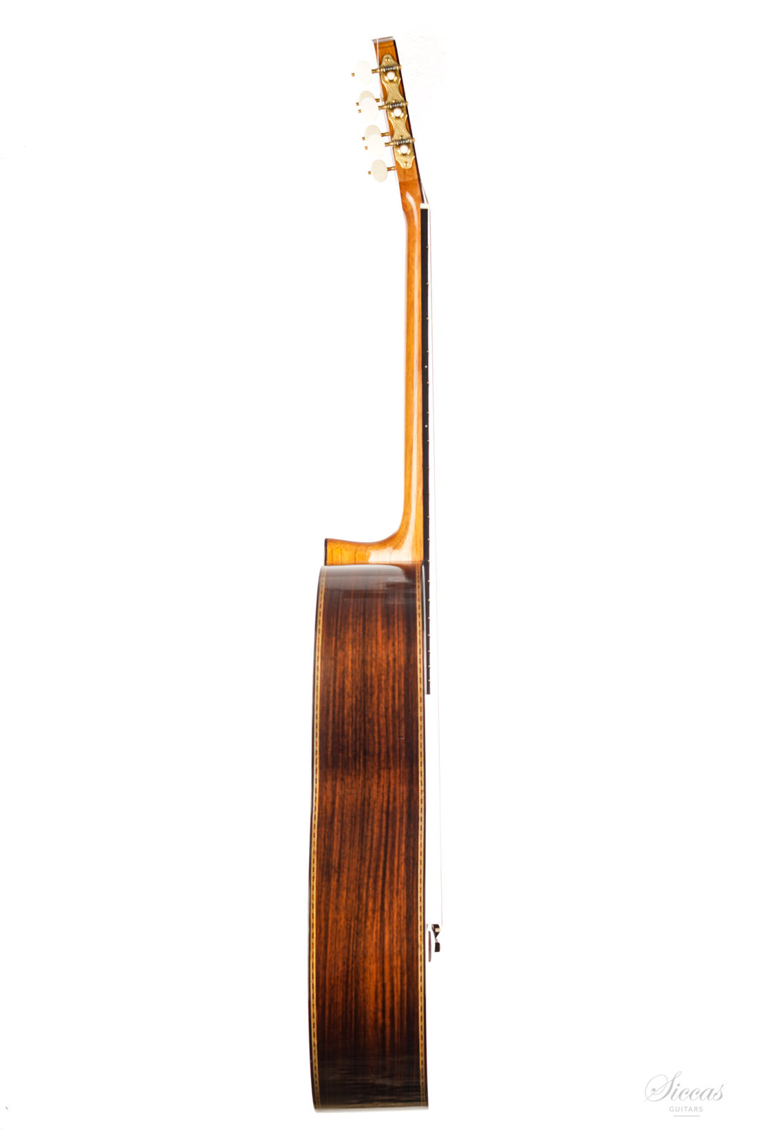 José Luis Romanillos - 2016 La Campanula