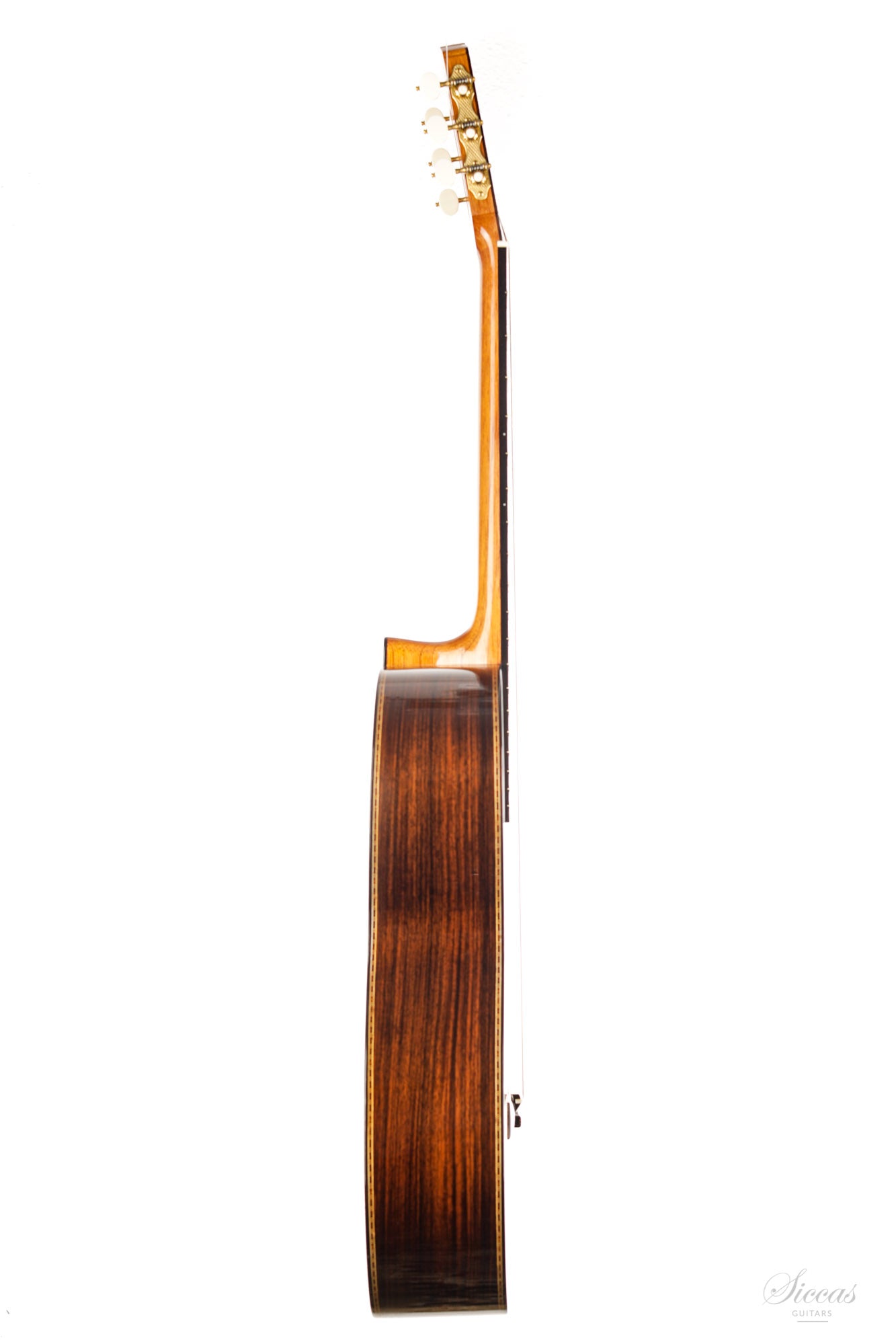 José Luis Romanillos - 2016 La Campanula