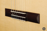 José Marques - 2021 Doubletop 64cm