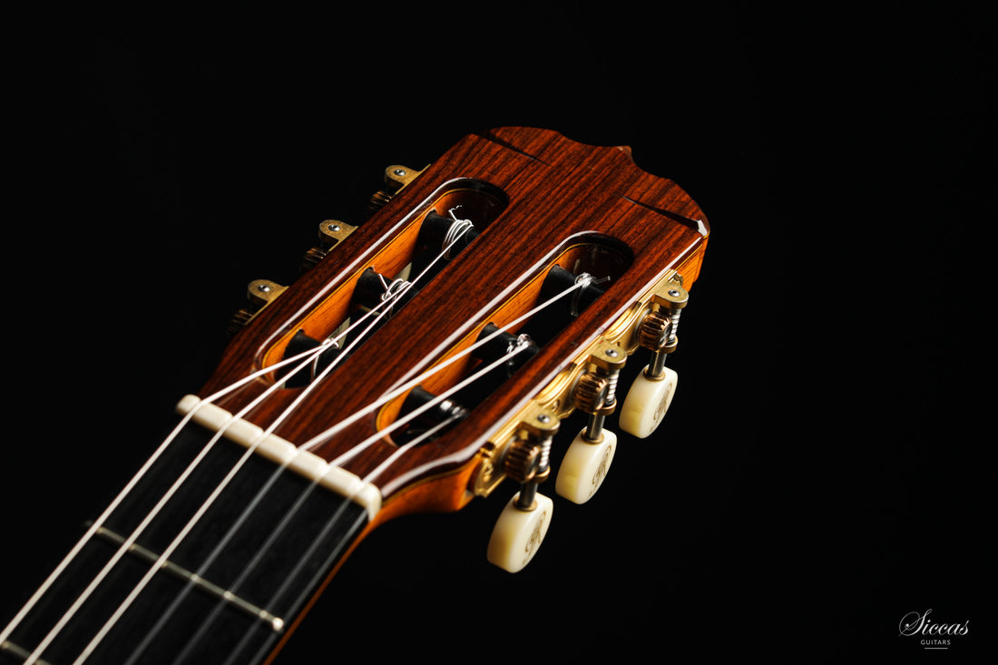 José Ramirez - 2008 Flamenco 1a