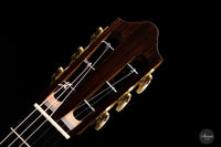 S. & A. Kirschner - 2021  Doubletop 64cm "Siccas Guitars Series"