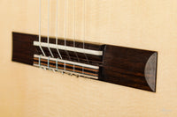 Michael Cadiz - 2020 64cm