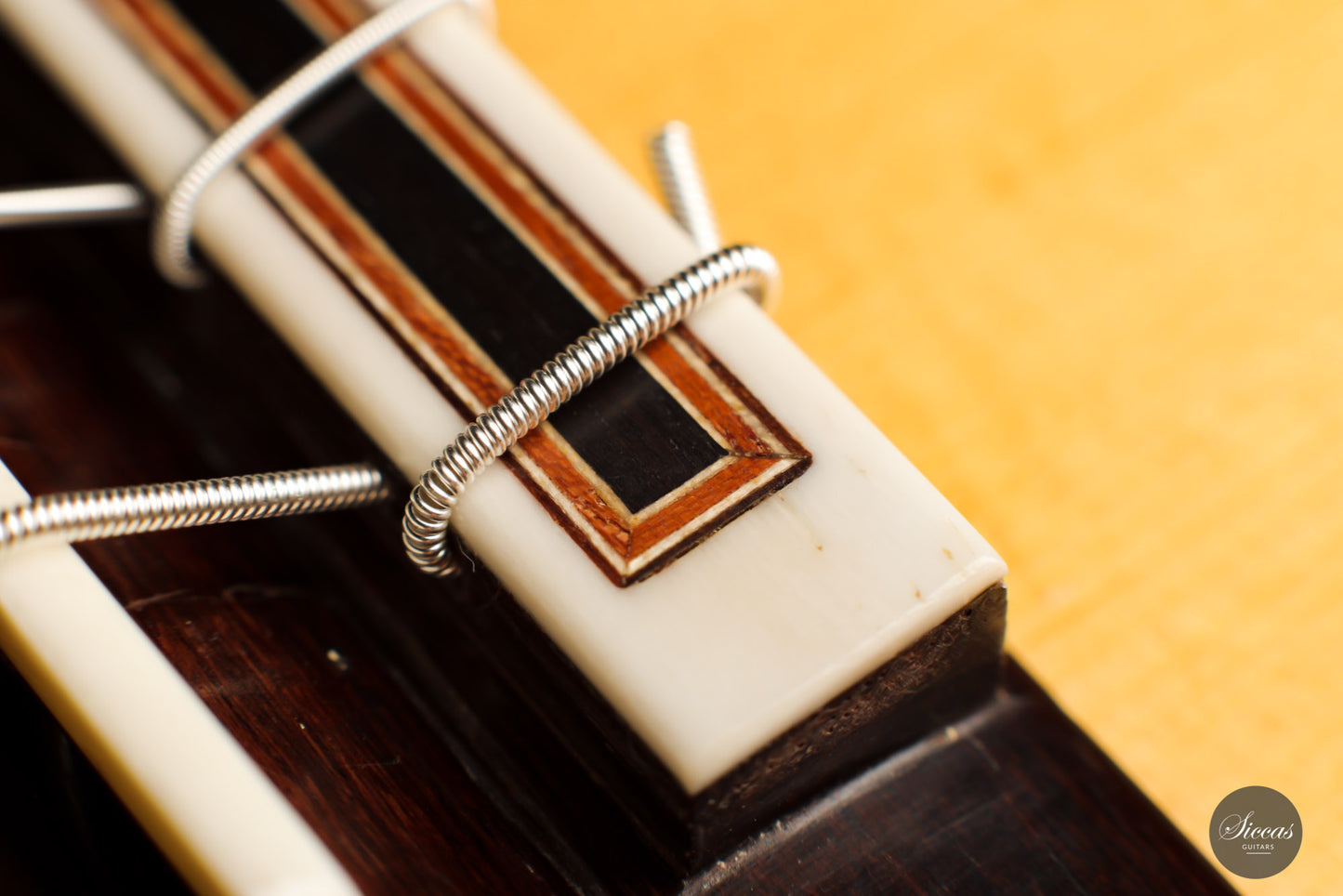 Solveig Kirschner - 2015