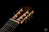 Solveig Kirschner - 2015