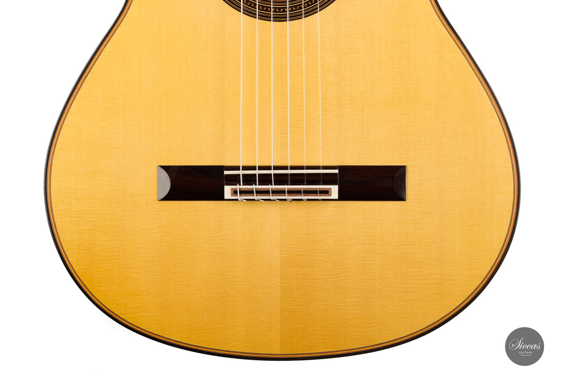 Solveig Kirschner - 2015