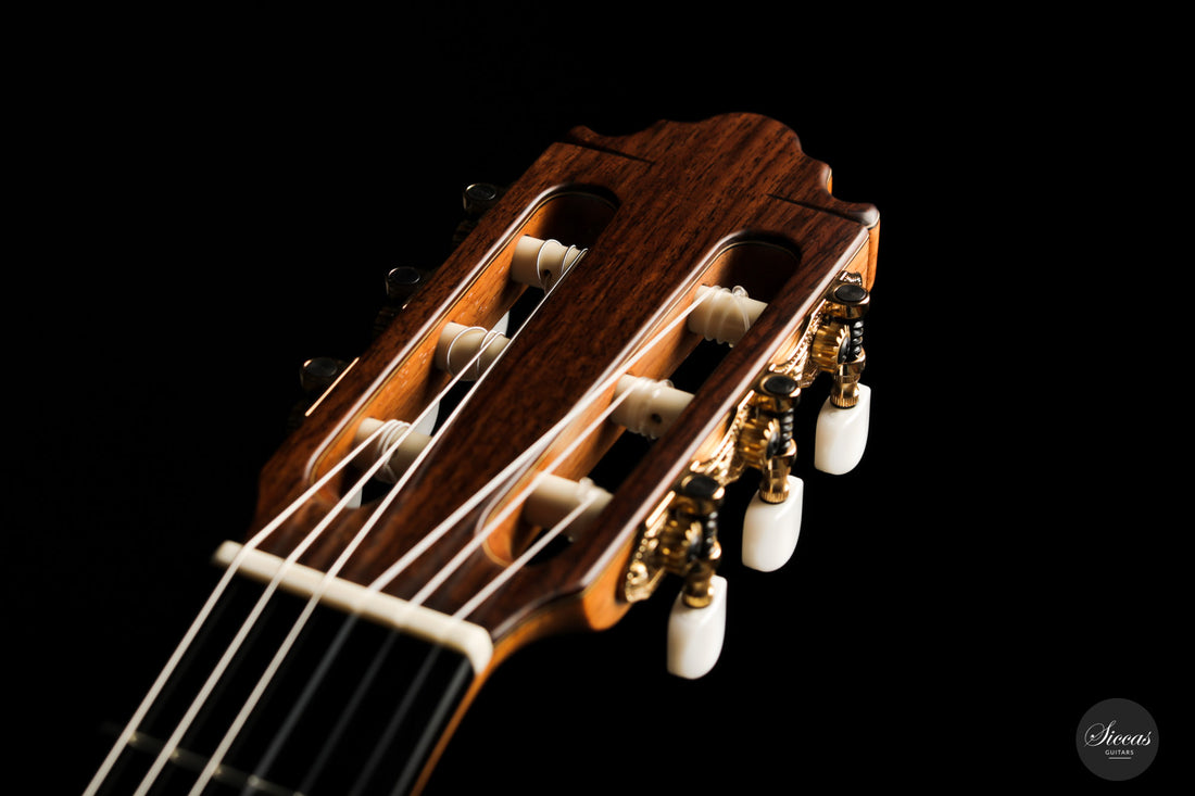 Vicente Carrillo - India Estudio Cedar