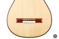 Wolfgang Jellinghaus - "Torres 77" Spruce / Pao Ferro