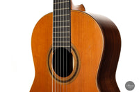 Daniel Friederich – 1977 No. 458 „Concert Model”
