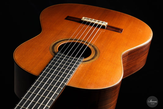 Daniel Friederich – 1977 No. 458 „Concert Model”