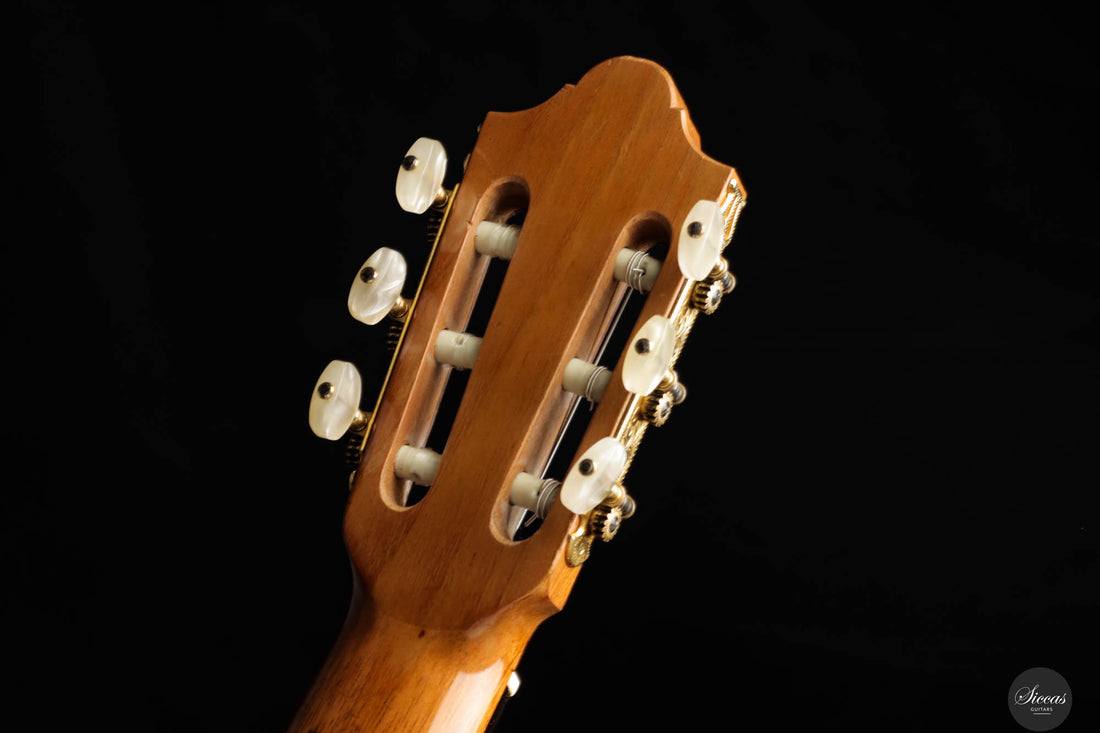 Daniel Friederich - 1971 No. 317