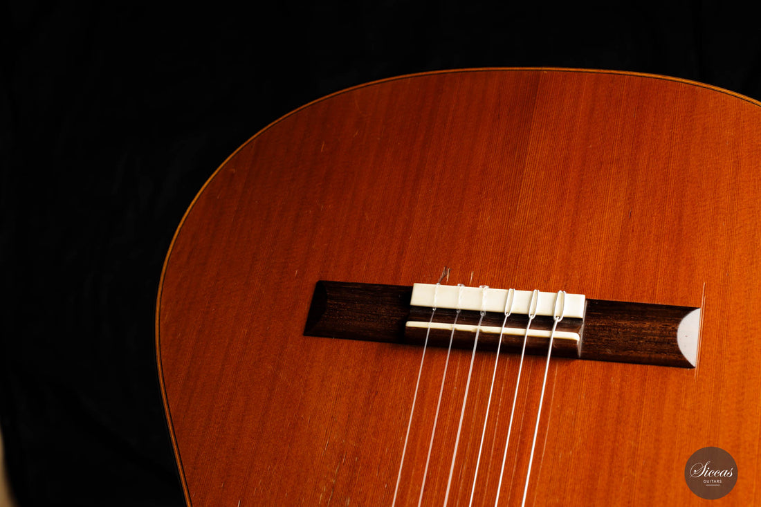 Daniel Friederich – 1979 No. 504 Expérimentale