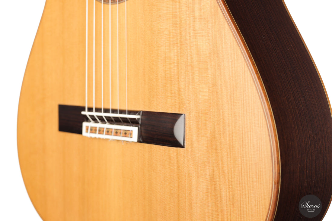 Daniel Stark - Española II Cedar