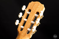Daniel Stark - Española II Cedar
