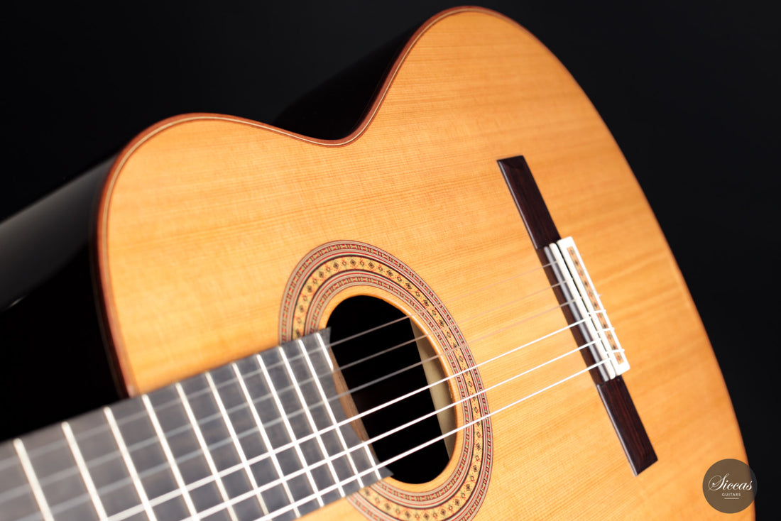 Daniel Stark - Española II Cedar