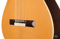 Daniel Stark - Performer II Cedar ON HOLD