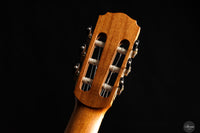 Daniel Stark - 2026 Performer No. 173