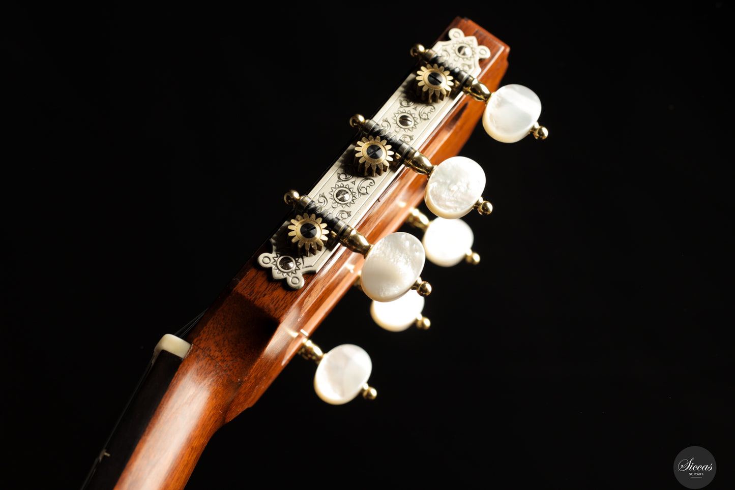 Daryl Perry - 2024 No. 255