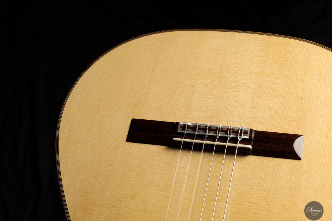 Daryl Perry - 2024 No. 255